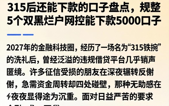 315后还能下款的口子盘点，规整5个双黑烂户风控能下款5000口子