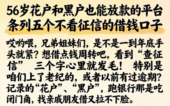 56岁花户和黑户也能放款的平台，条列五个不看征信的借钱口子