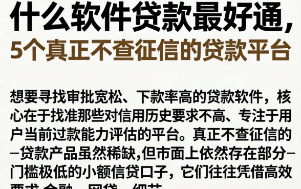 什么软件贷款最好通，细致阐述5个真正不查征信的贷款平台