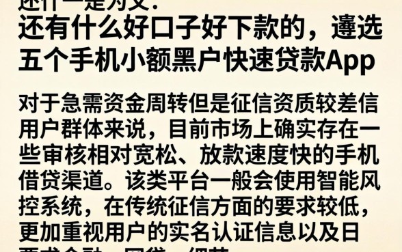 还有什么好口子好下款的，遴选五个手机小额黑户快速贷款app