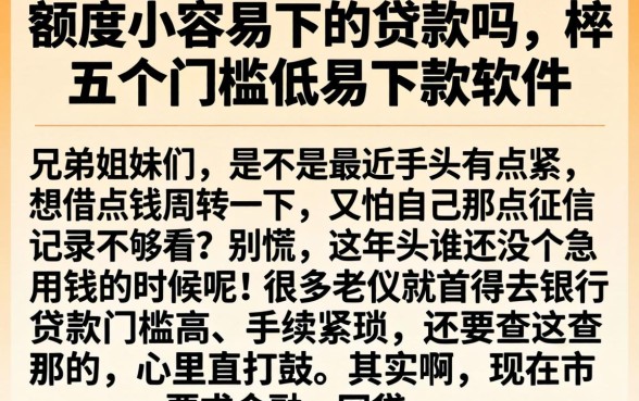 额度小容易下的贷款吗，枚举五个门槛低易下款软件