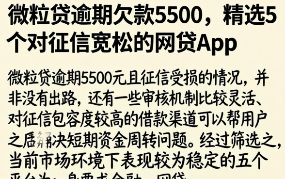 微粒贷逾期欠款5500，精选5个对征信宽松的网贷app