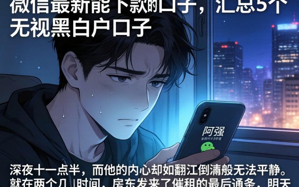 微信最新能下款的口子，汇总5个无视黑白户口子