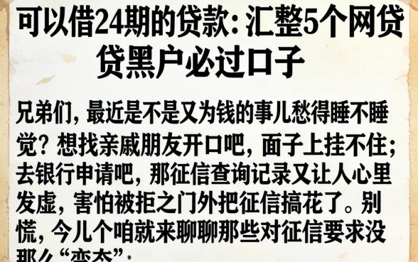 可以借24期的贷款，汇整5个网贷黑户必过口子