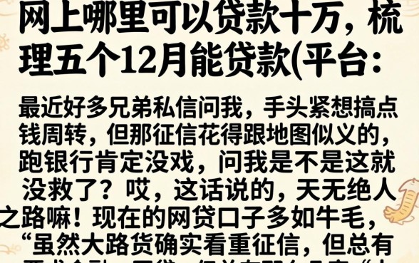网上哪里可以贷款十万，梳理五个12月能贷款的平台