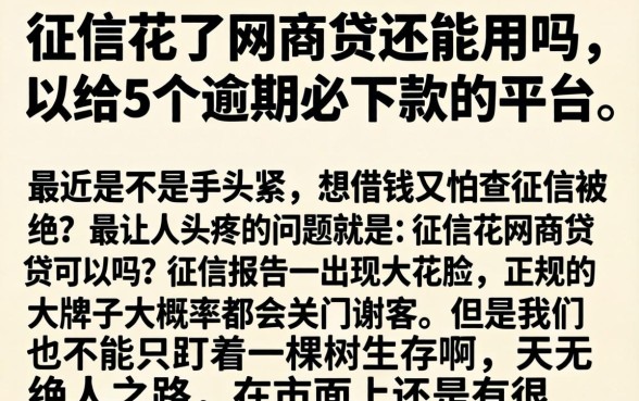 征信花了网商贷还能用吗，归纳5个逾期必下款的平台