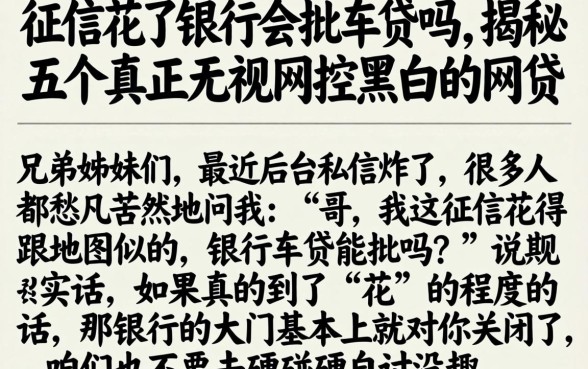 征信花了银行会批车贷吗，揭秘五个真正无视风控黑白的网贷