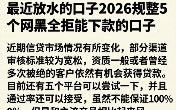 最近放水的口子2026，规整5个网黑全拒能下款的口子