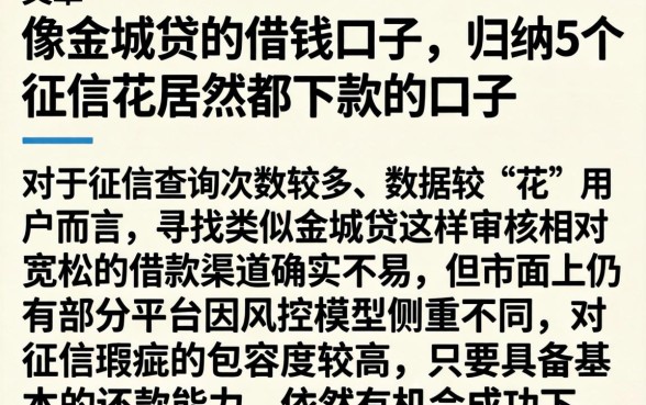 像金城贷的借钱口子，归纳5个征信花居然都下款的口子
