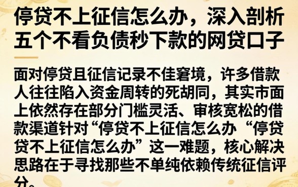 停贷不上征信怎么办，深入剖析五个不看负债秒下款的网贷口子