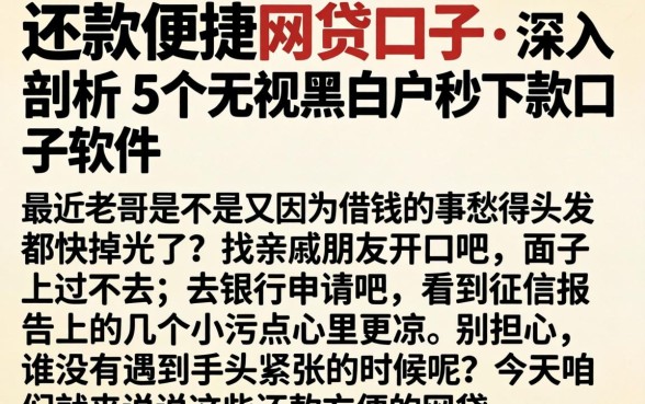 还款便捷的网贷口子,深入剖析5个无视黑白户秒下款口子软件
