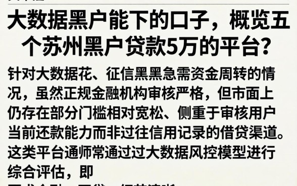 大数据黑户能下的口子，概览五个苏州黑户贷款5万的平台