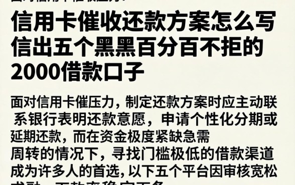信用卡催收还款方案怎么写，理出五个黑户百分百不拒的2000借款口子