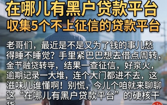 在哪儿有黑户贷款平台，归集5个不上征信的贷款平台