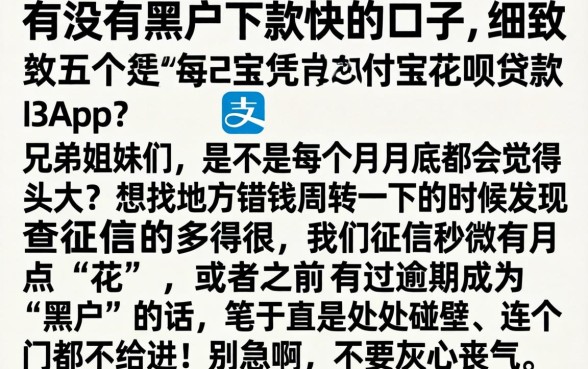 有没有黑户下款快的口子，细致阐述五个凭支付宝花呗贷款的app