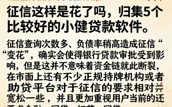 征信这样是花了吗，归集5个比较好的小额贷款软件
