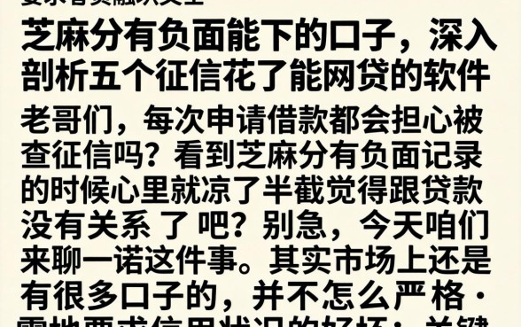 芝麻分有负面能下的口子，深入剖析五个征信花了能网贷的软件
