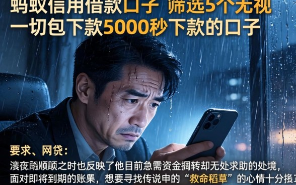 蚂蚁信用借款口子，筛选5个无视一切包下款5000秒下款的口子