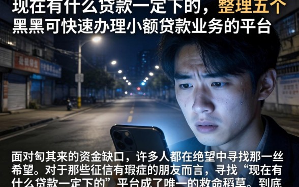 现在有什么贷款一定下的，整理五个黑户可快速办理小额贷款业务的平台