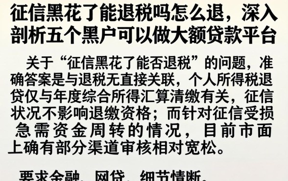 征信黑花了能退税吗怎么退，深入剖析五个黑户可以做大额贷款平台