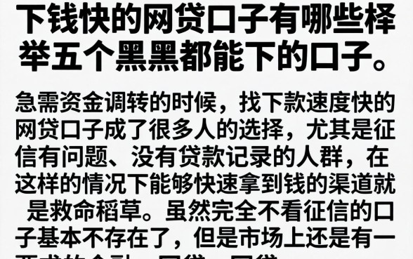 下钱快的网贷口子有哪些，枚举五个黑户都能下的口子