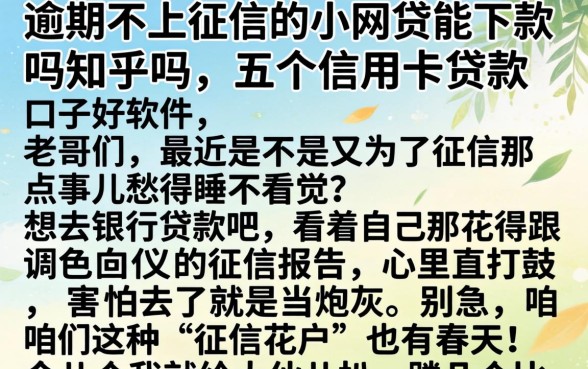 逾期不上征信的小网贷能下款吗知乎吗，详尽说明五个信用卡贷款口子好软件