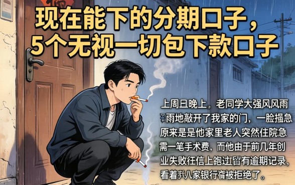 现在能下的分期口子，概括5个无视一切包下款口子