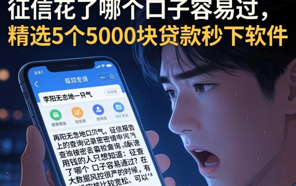 征信花了哪个口子容易过，精选5个5000块贷款秒下软件