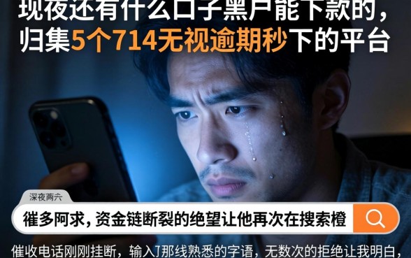 现在还有什么口子黑户能下款的，归集5个714无视逾期秒下的平台