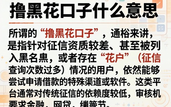 撸黑花口子什么意思，详尽说明五个手机可以临时借钱的软件