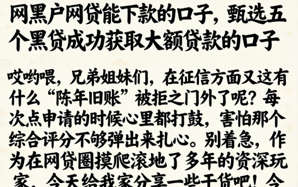 网黑户网贷能下款的口子，甄选五个黑户成功获取大额贷款的口子