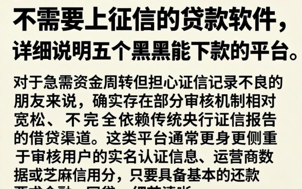 不需要上征信的贷款软件，详尽说明五个黑户能下款的平台