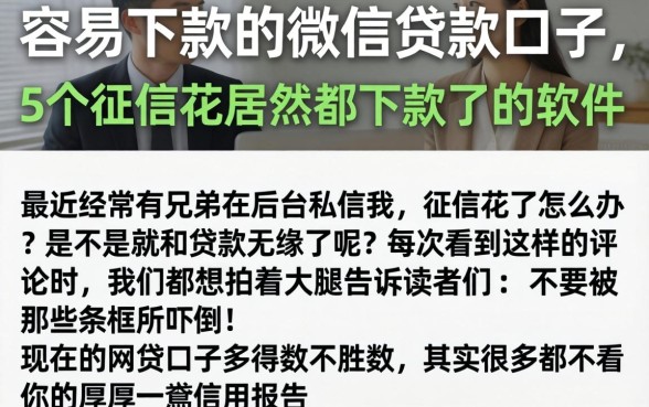 容易下款的微信贷款口子，细致阐述5个征信花居然都下款了的软件