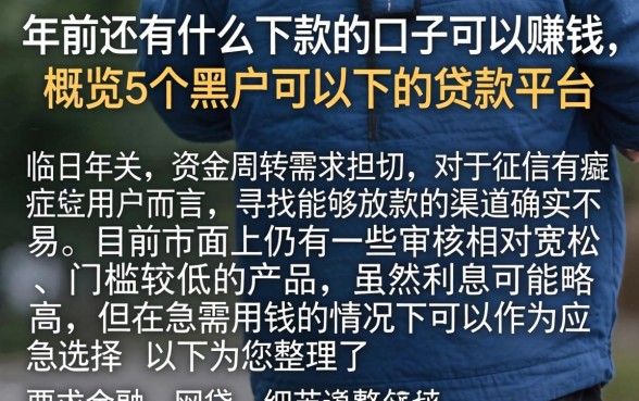 年前还有什么下款的口子可以赚钱，概览5个黑户可以下的贷款平台