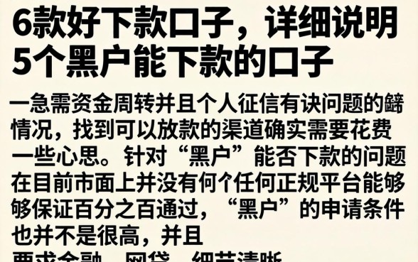 6款好下款的口子，详尽说明5个黑户能下款的口子