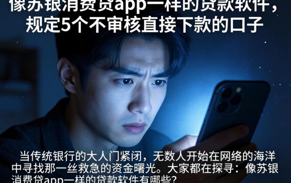 像苏银消费贷app一样的贷款软件，规整5个不审核直接下款的口子