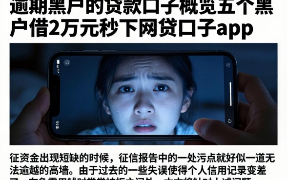 逾期黑户的贷款口子，概览五个黑户借2万元秒下网贷口子app