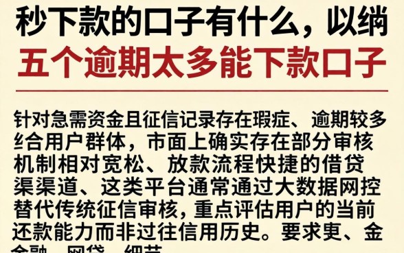 秒下款的口子有什么，归纳五个逾期太多能下款口子