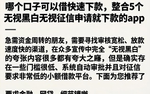 哪个口子可以借快速下款，整合5个无视黑白无视征信申请就下款的app