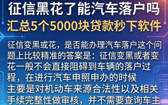 征信黑花了能汽车落户吗,汇总5个5000块贷款秒下软件