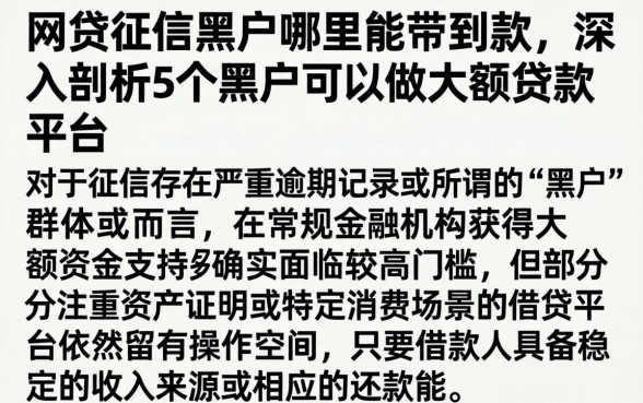 网贷征信黑户哪里能带到款，深入剖析5个黑户可以做大额贷款平台