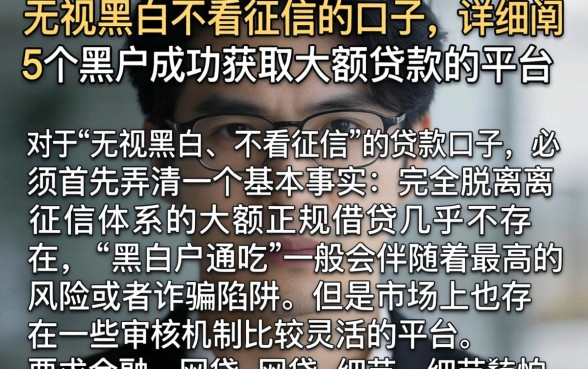 无视黑白不看征信的口子,详细阐述5个黑户成功获取大额贷款的平台