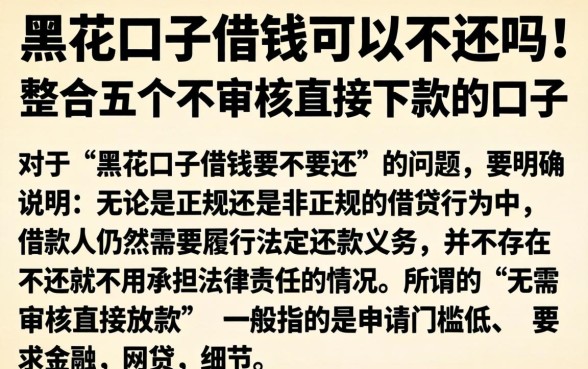 黑花口子借钱可以不还吗，整合五个不审核直接下款的口子