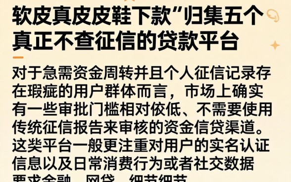 软皮真皮皮鞋下款，归集五个真正不查征信的贷款平台