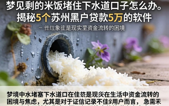 梦见剩的米饭堵住下水道口子怎么办,揭秘5个苏州黑户贷款5万的软件