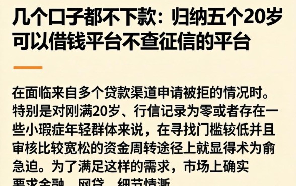 几个口子都不下款，归纳五个20岁可以借钱平台不查征信的平台