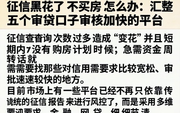 征信黑花了不买房怎么办，汇整五个审贷口子审核加快的平台