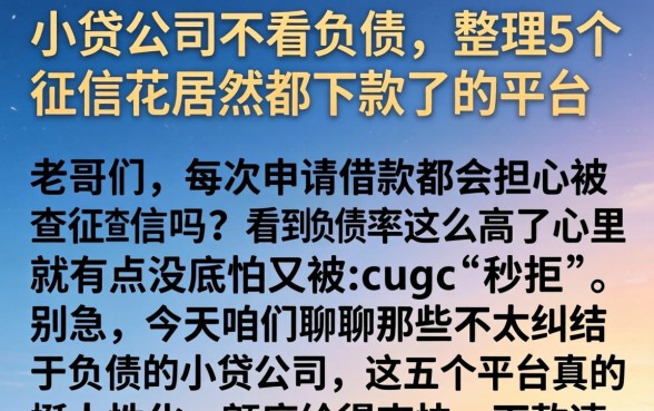小贷公司不看负债,整理5个征信花居然都下款了的平台