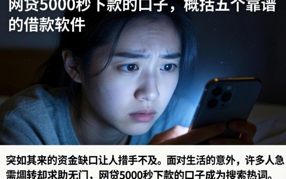网贷5000秒下款的口子,概括五个靠谱的借款软件