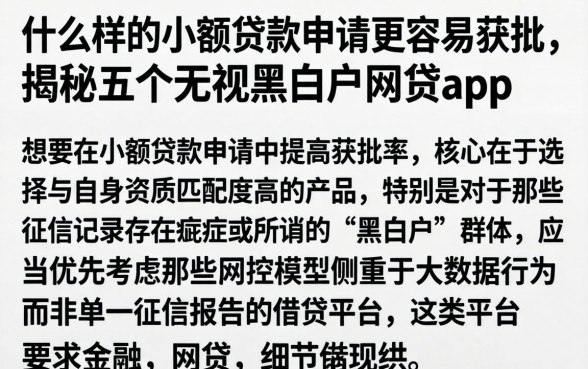 什么样的小额贷款申请更容易获批，揭秘五个无视黑白户网贷app